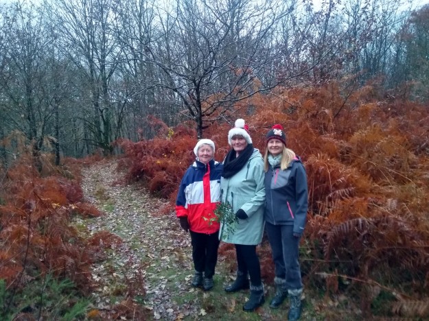 Pageas Christmas - (woodland trail)
